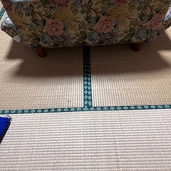 ローソファの画像