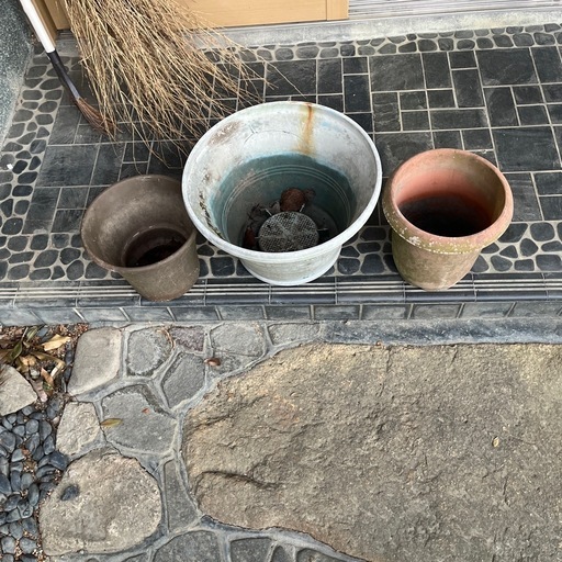 植木鉢3個 (ゼン) 比叡山坂本のその他の中古あげます・譲ります