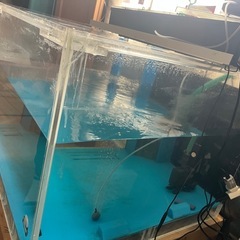 アクリル水槽の画像
