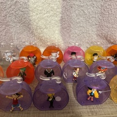 ワンピの実の画像