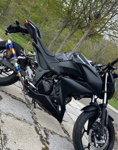 Kawasaki Z250バイク