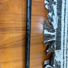 プロトステガ　Sシャフトの画像