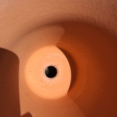 🌹植木鉢🪴🔟の画像