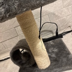 猫の爪とぎの画像