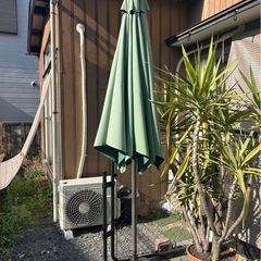 パラソルの画像