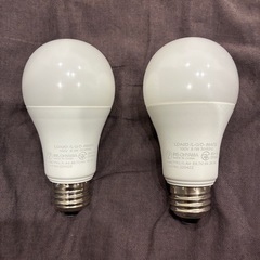 モダンデコ　Clara シンプルモダンライト　　　グレー　LED電球付きの画像