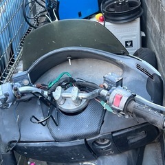 フォルツァの画像