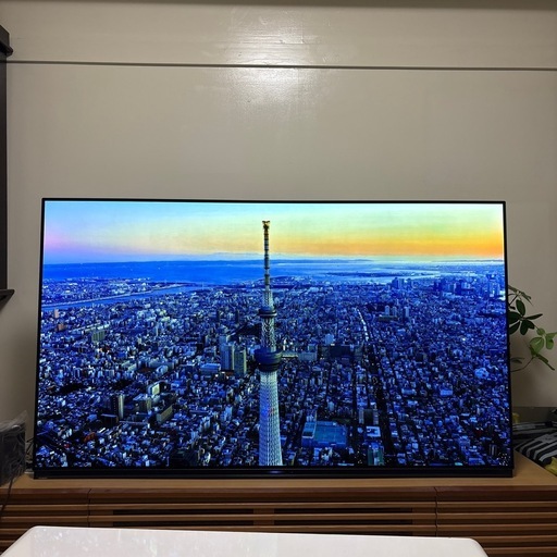 有機ＥＬ　4k　65型