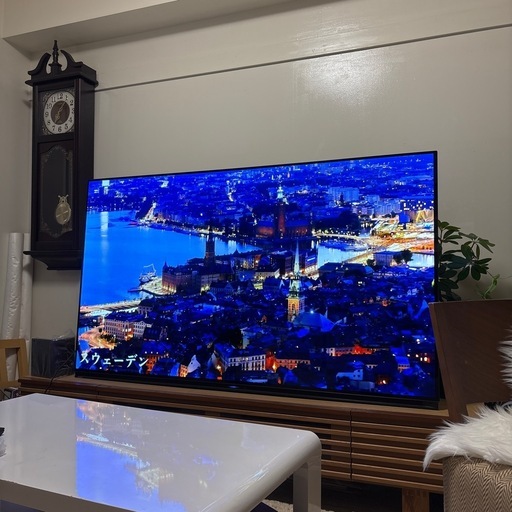 有機ＥＬ　4k　65型