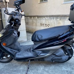 シグナス 3型　の画像