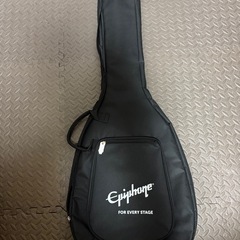 EPIPHONE ( エピフォン ) ES-335 Figured Raspberry Tea Burstの画像