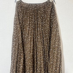 any SiSロングスカートの画像