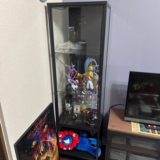 IKEA ルードスタ コレクションケース