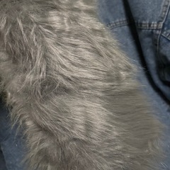 デニムジャケット　レディースLサイズ②
の画像