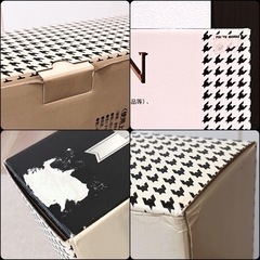 イセトウ　【コレクションケース】　A303 I-239の画像