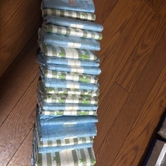 犬 男の子 オムツ Mサイズの画像