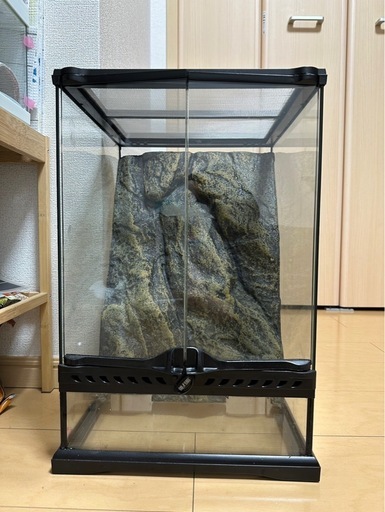 【中古】GEX EXOTERRA グラステラリウム 3045 PT2602 Amazon.co.jp: ジェックス GEX EXOTERRA グラステラリウム3045 PT2602