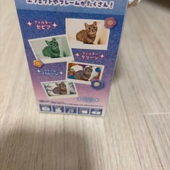 キッズカメラの画像