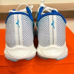 【美品中古】ミズノ ウエーブリベリオンフラッシュ 2 ／ 28.0の画像