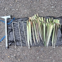 SOUTHERNPORT スクリーンタープ キャンプメッシュ スクリーンタープ 超大型サイズ テント 説明書付き 蚊帳　の画像