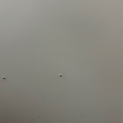 スライド伸長式カウンター幅91〜126センチの画像