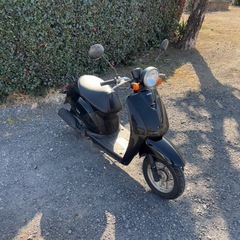 1195.HONDA トゥデイ 4スト　AF61 原付　バイク　50cc 車体　埼玉の画像