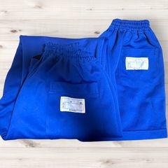 桜小学校　運動着長袖・半袖上下セットの画像