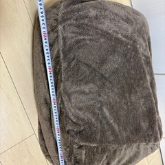 ニトリビーズ大クッション＋コストコクッションの画像