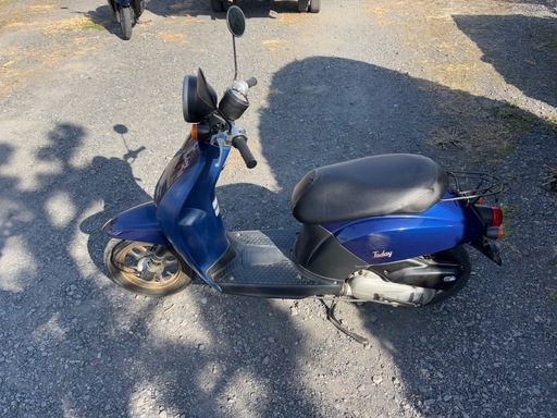1205.AF61 トゥデイ ホンダ　原付　バイク　50cc 車体　埼玉