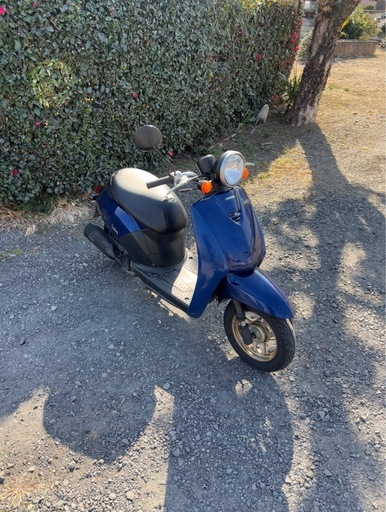 1205.AF61 トゥデイ ホンダ　原付　バイク　50cc 車体　埼玉