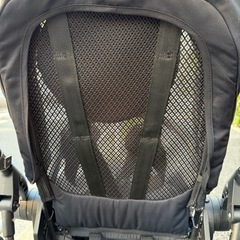 【1年使用】サイベックス　メリオカーボンブラックの画像