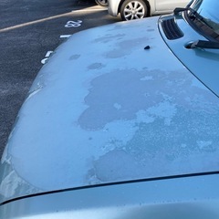 アルトラパンの画像