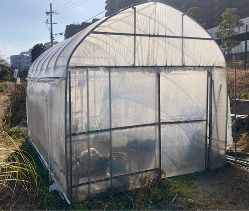 お引取先が決まりました⭐️【箕面市】ビニールハウス［小型］取りに来ていただける方限定⭐️農業・菜園・雨風対策（倉庫、休憩所、作業場に最