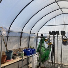 【箕面市】ビニールハウス［小型］取りに来ていただける方限定⭐️農業・菜園・雨風対策（倉庫、休憩所、作業場に最適）の画像