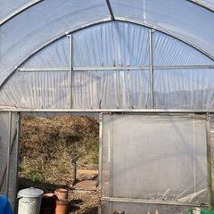 【箕面市】ビニールハウス［小型］取りに来ていただける方限定⭐️農業・菜園・雨風対策（倉庫、休憩所、作業場に最適）の画像