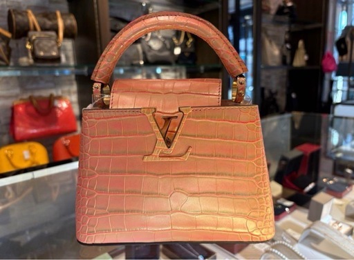 【新品】パリシャンゼリゼ店購入/Louis Vuitton カプシーヌ