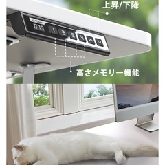 ErGear 電動 デスク 昇降式デスク スタンディングデスクの画像
