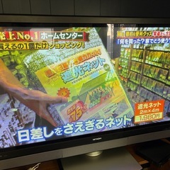 日立　テレビ　50インチ
の画像