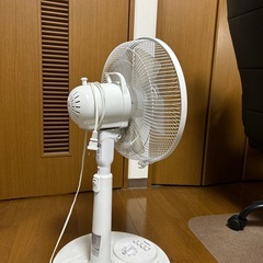 【1月24.25日に受け取っていただく方限定】扇風機の画像