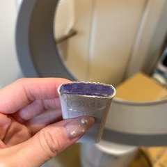 ダイソン扇風機、物干し竿の画像