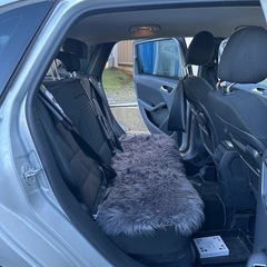 初出品です。メレセデスベンツbクラスの画像