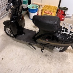 スズキ蘭の画像