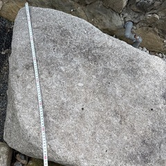 庭石  持って行ってくださる方へ！の画像