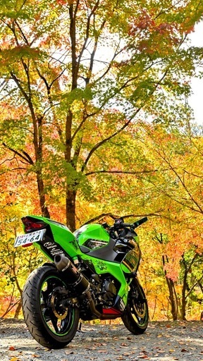 Kawasaki　ninja250