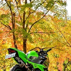  Kawasaki　ninja250  の画像