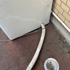 サンヨー　高濃度クリーン洗浄洗濯機ASW-B60V(WG)の画像