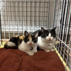 仲良し兄妹です