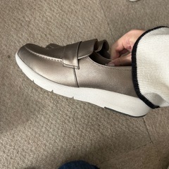 靴　24センチの画像