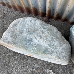 無料！早い者勝ち！たぶん翡翠！先着1名！翡翠差し上げますの画像