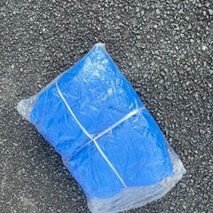 ブルーシート大判
の画像